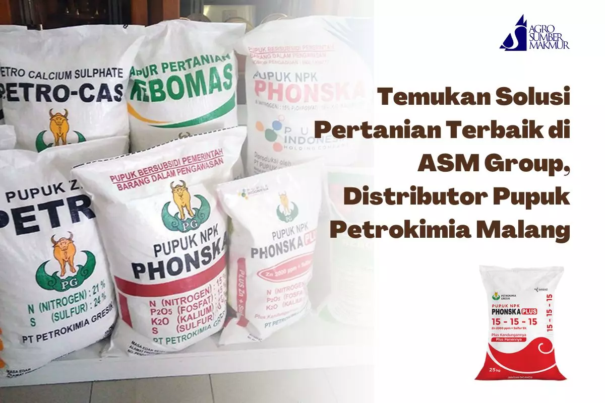 Temukan Solusi Pertanian Terbaik di ASM Group, Distributor Pupuk Petrokimia Malang