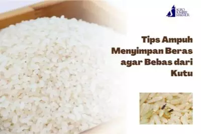 Tips Ampuh Menyimpan Beras agar Bebas dari Kutu