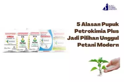 5 Alasan Pupuk Petrokimia Plus Jadi Pilihan Unggul Petani Modern