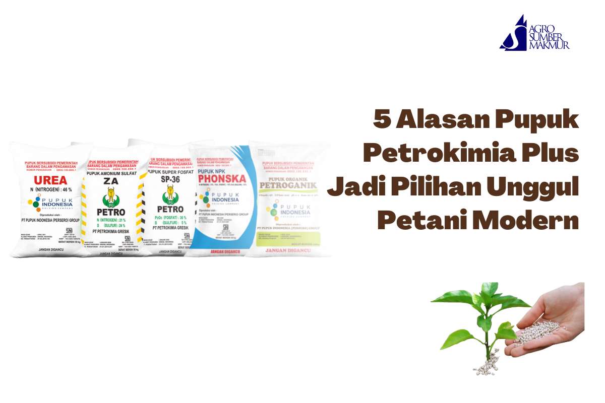 5 Alasan Pupuk Petrokimia Plus Jadi Pilihan Unggul Petani Modern