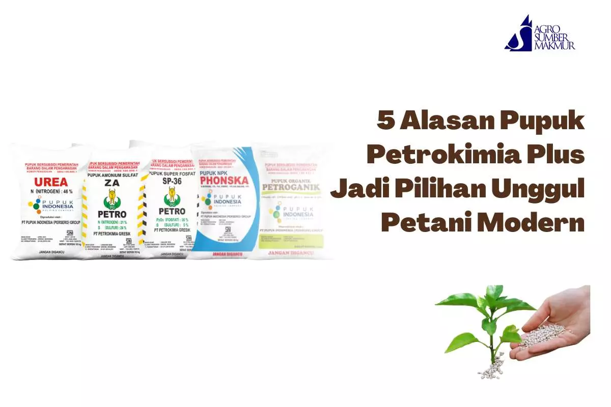 5 Alasan Pupuk Petrokimia Plus Jadi Pilihan Unggul Petani Modern