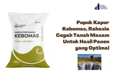 Pupuk Kapur Kebomas, Rahasia Cegah Tanah Masam Untuk Hasil Panen yang Optimal