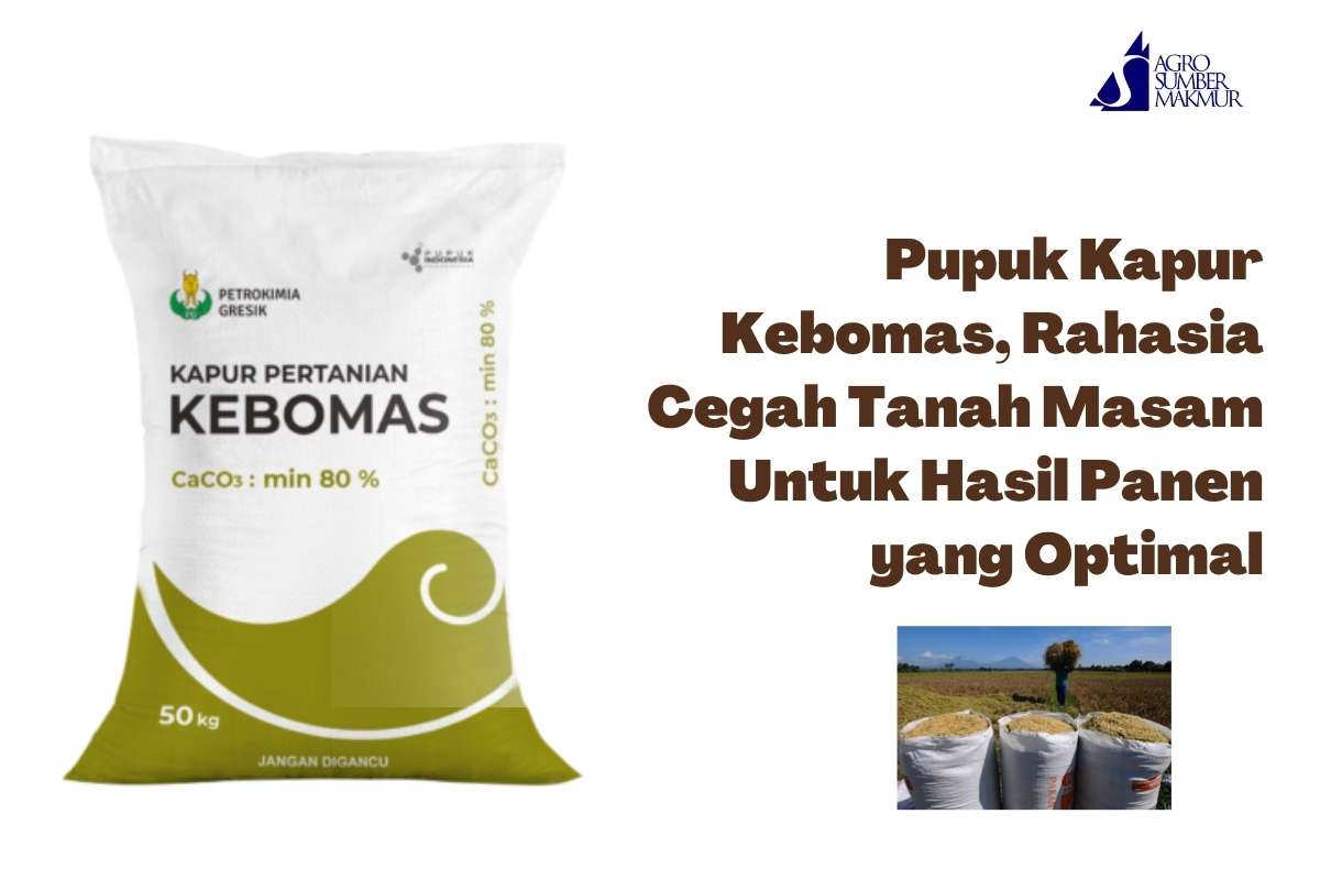 Pupuk Kapur Kebomas, Rahasia Cegah Tanah Masam Untuk Hasil Panen yang Optimal