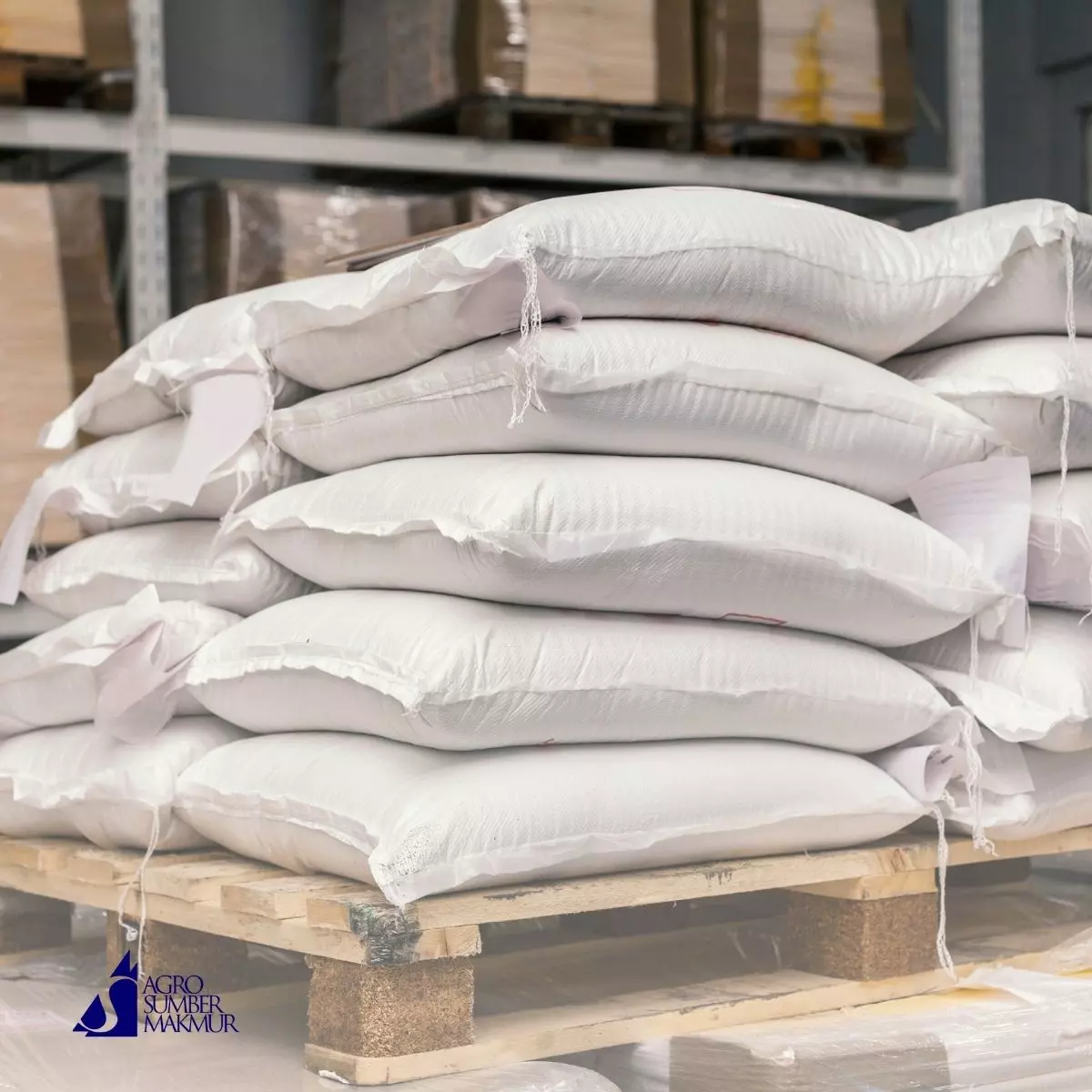 Mengapa Memilih ASM Group sebagai Distributor Anda?