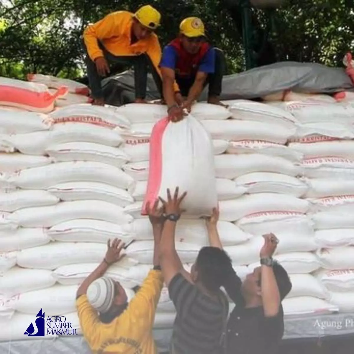 Kelebihan Bekerja Sama dengan Distributor Gula Pasir Lokal